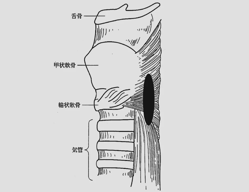 第18回第186問 図