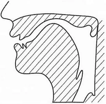 第21回第135問 図