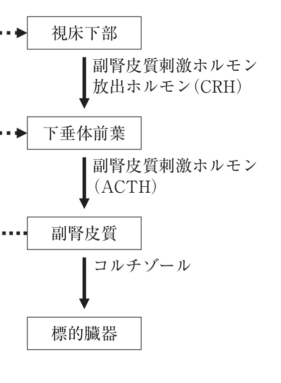 第35回午前第16問 図