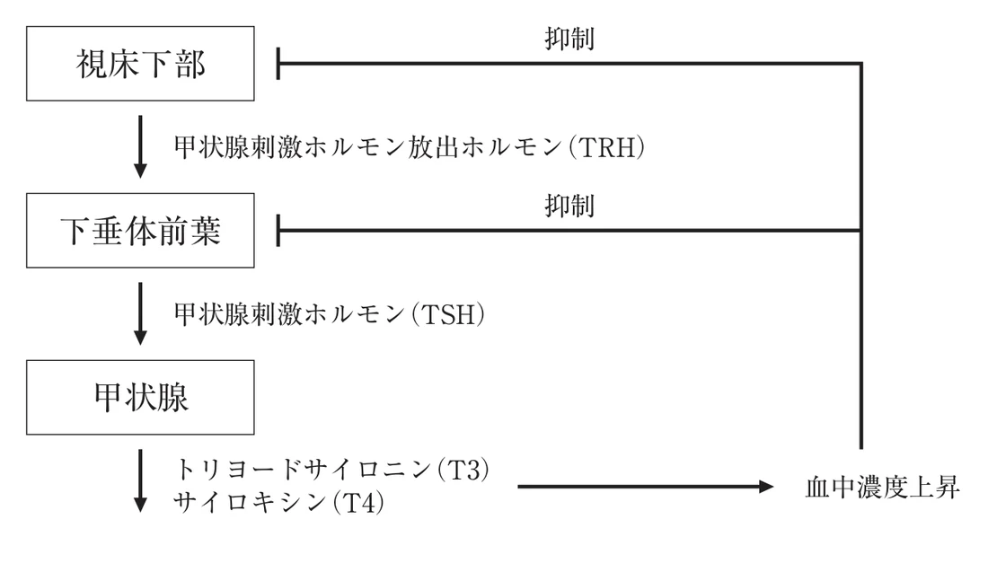 第36回午前第15問 図