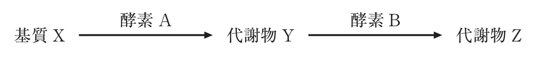 第36回午後第18問 図