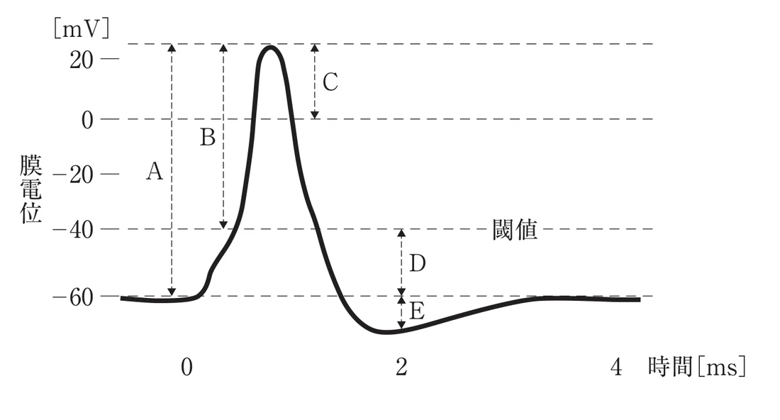 第37回午前第85問 図