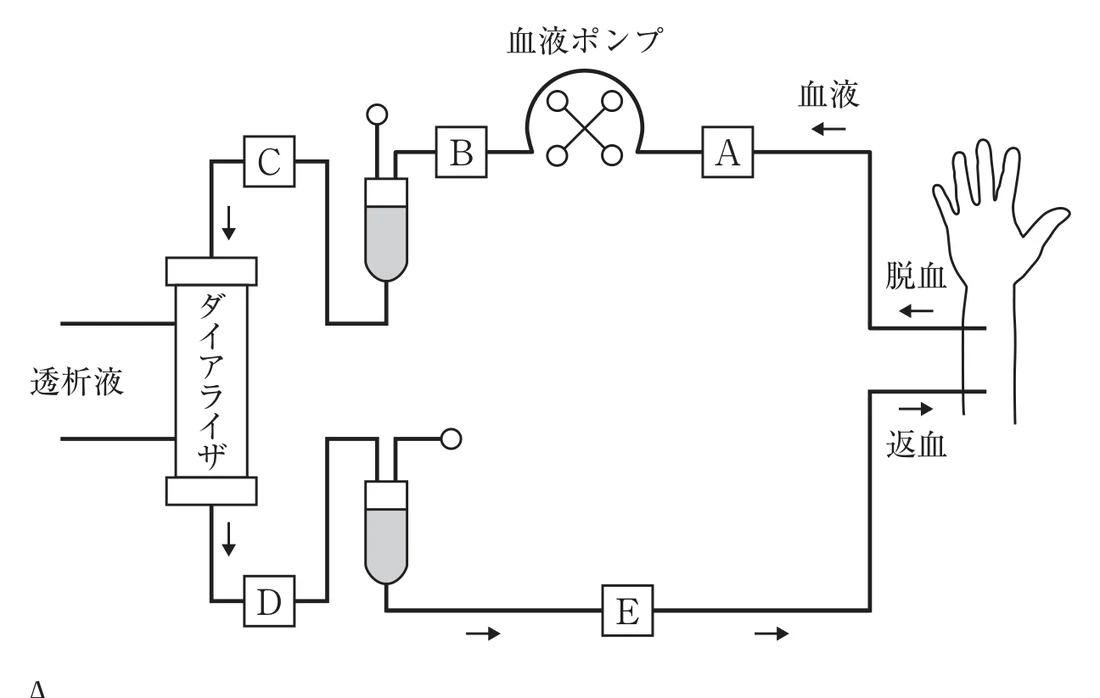 第38回午後第74問 図