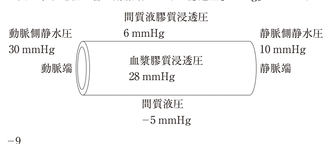 第39回午後第88問 図
