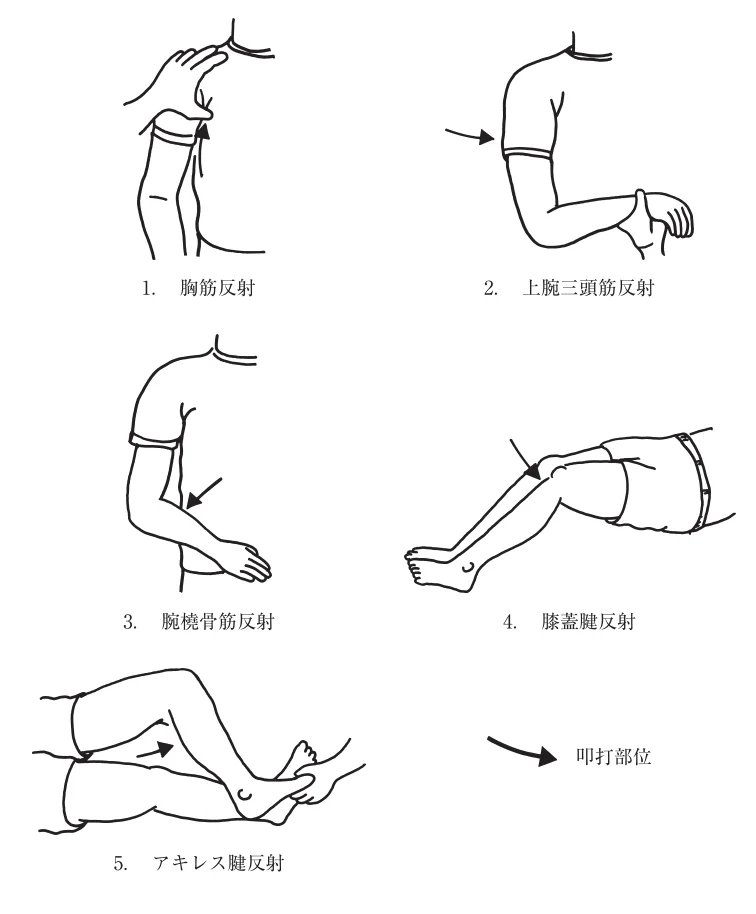 第52回午前第2問 図