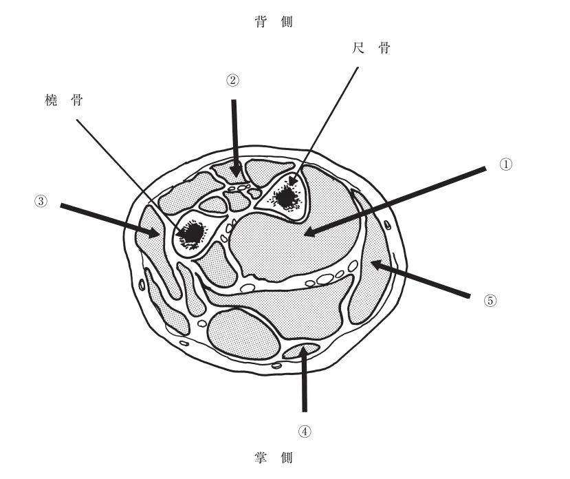 第52回午後第5問 図