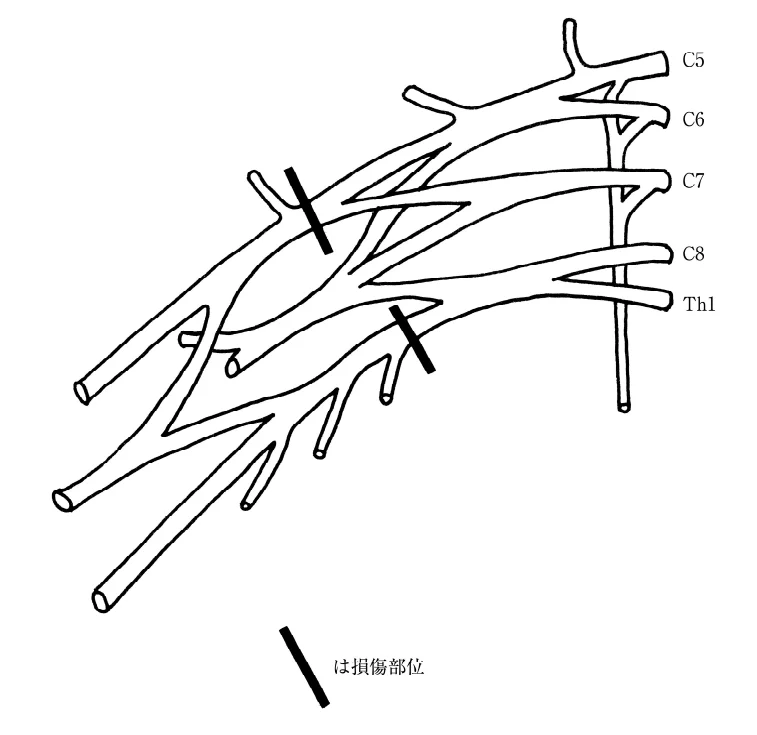 第53回午前第8問 図