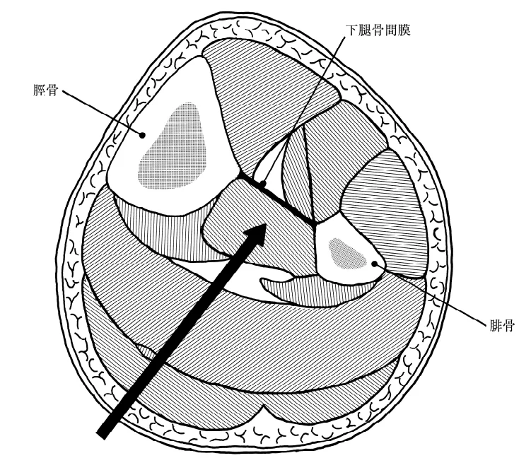 第53回午後第72問 図