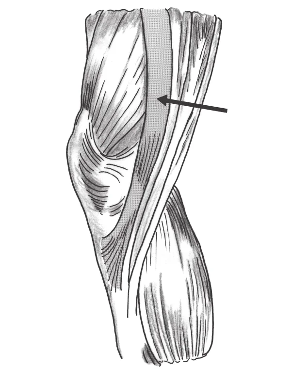 第54回午後第72問 図