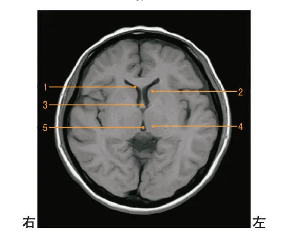 第55回午前第3問 図