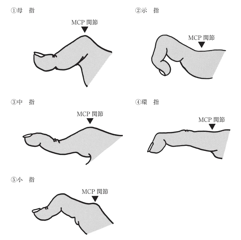 第55回午前第5問 図