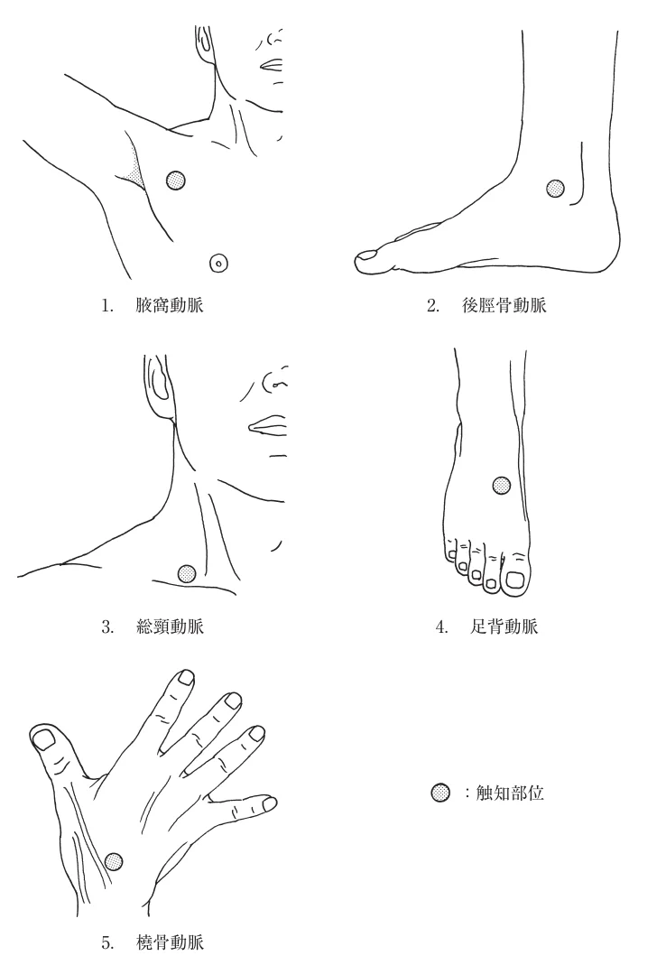 第58回午後第59問 図