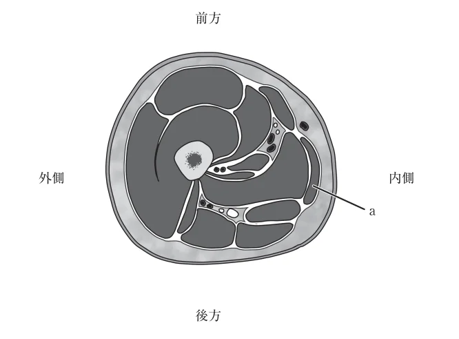 第60回午前第51問 図