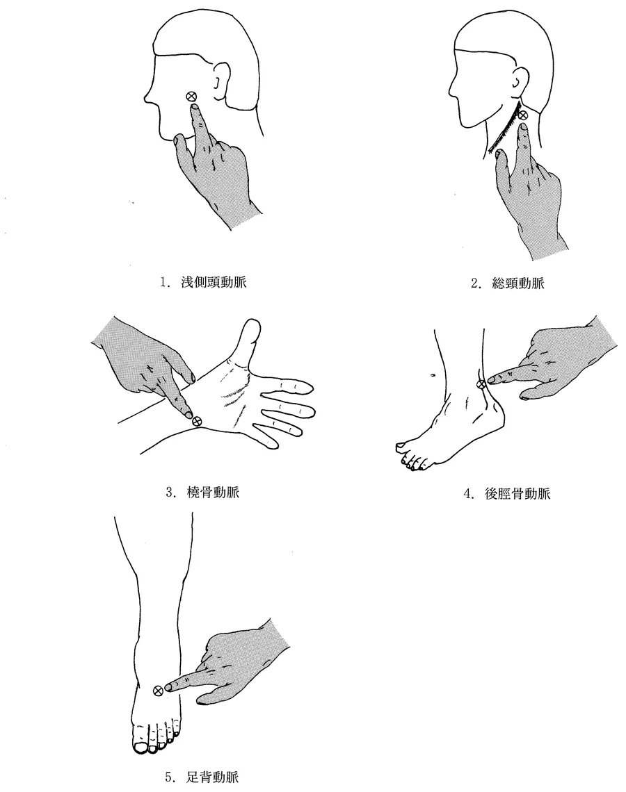 第44回午前第6問 図