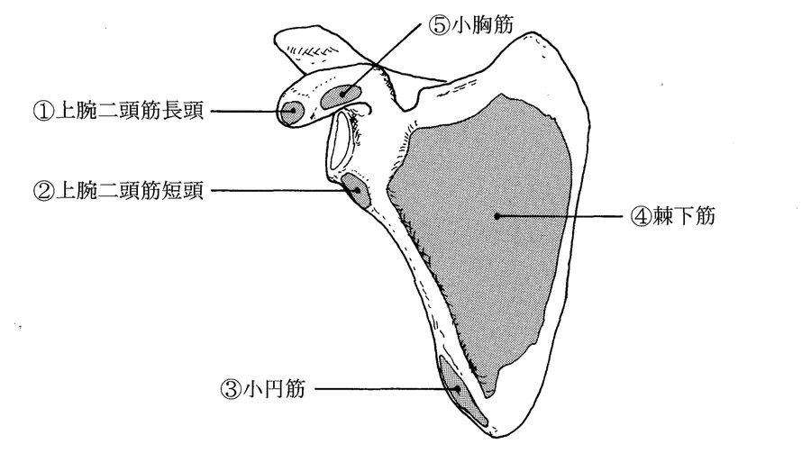 第44回午後第8問 図