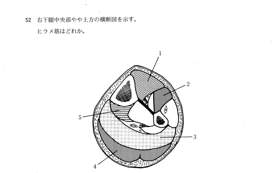 第45回午後第52問 図