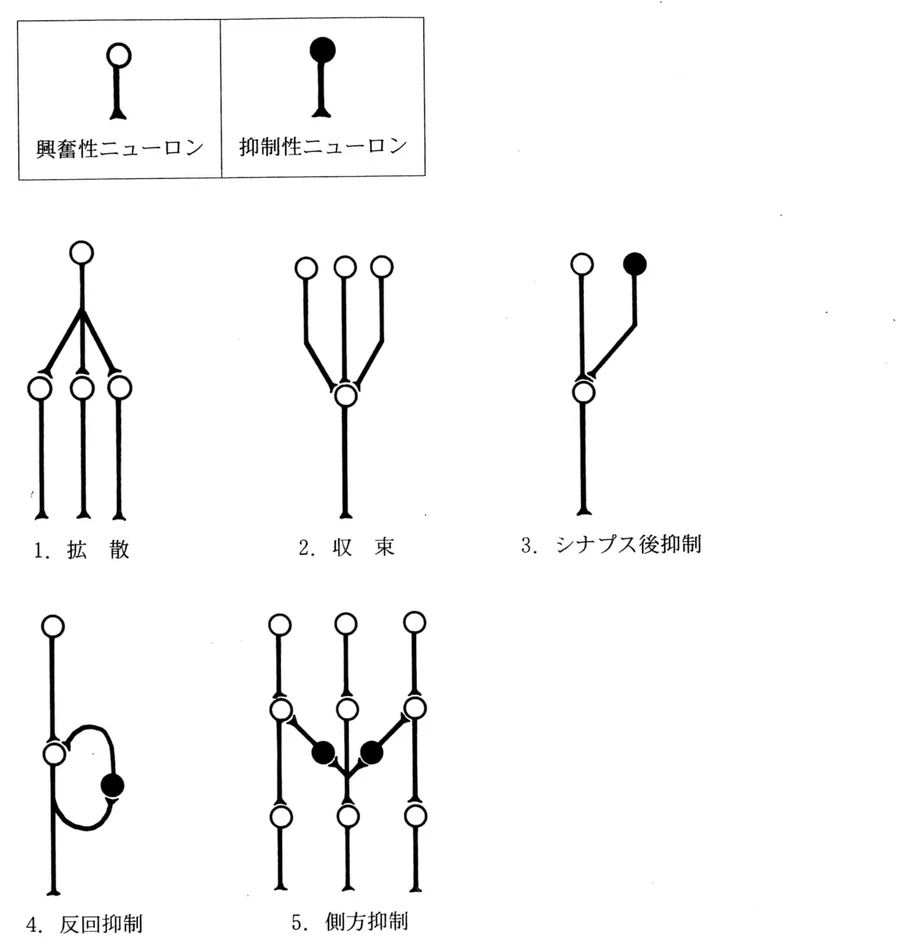 第45回午後第62問 図