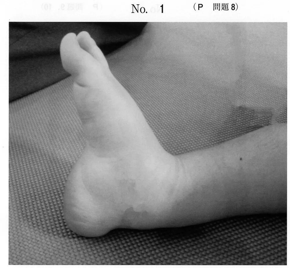 第48回午前第8問 図