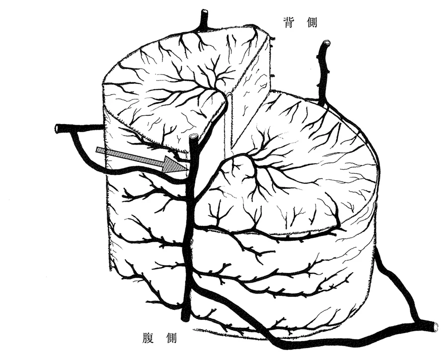 第48回午後第5問 図