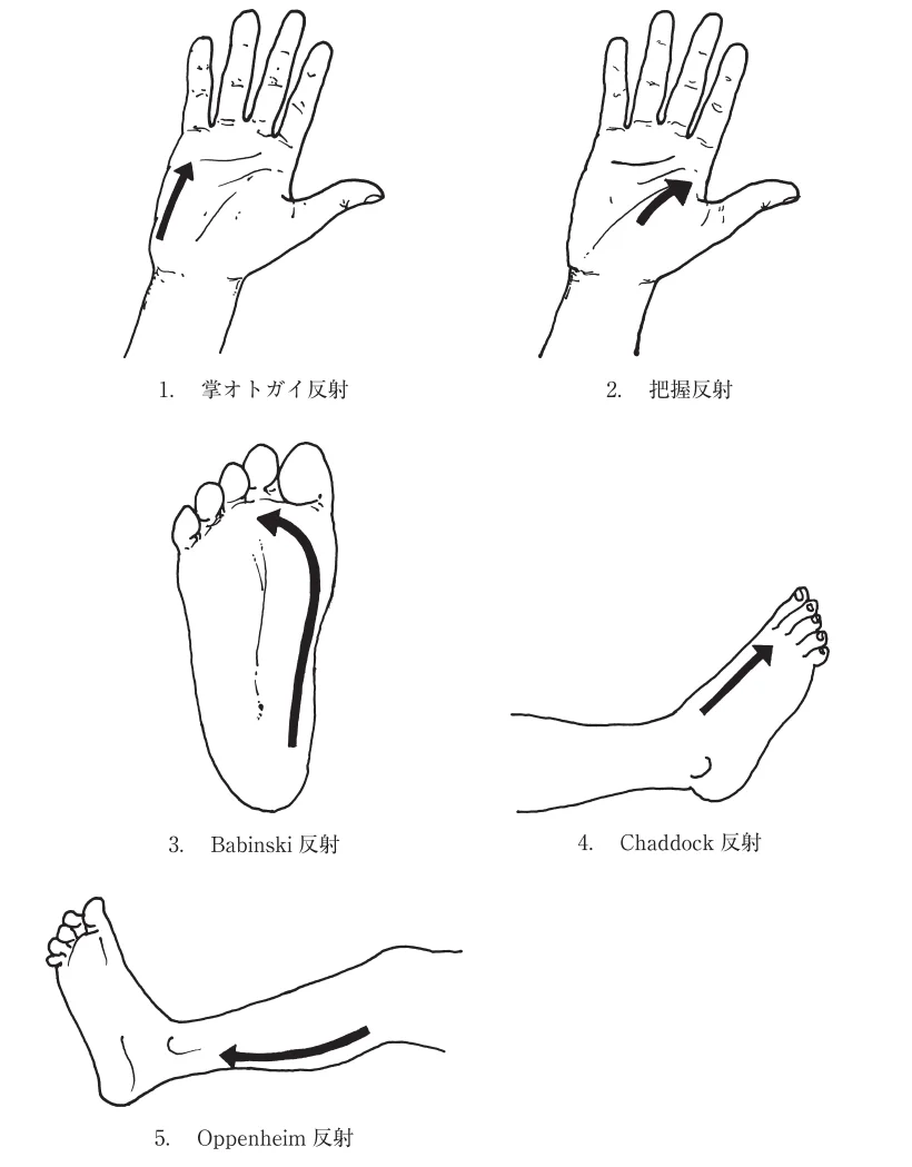 第51回午前第5問 図