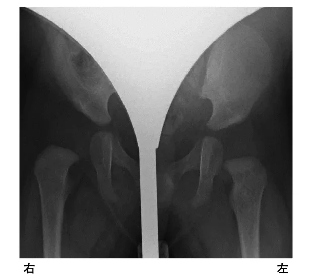 第53回午前第20問 図