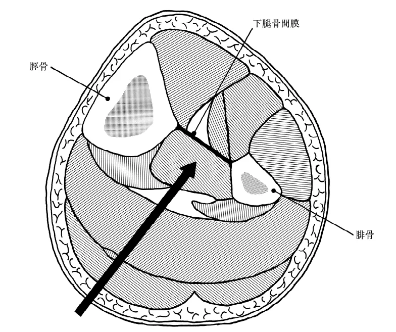 第53回午後第72問 図