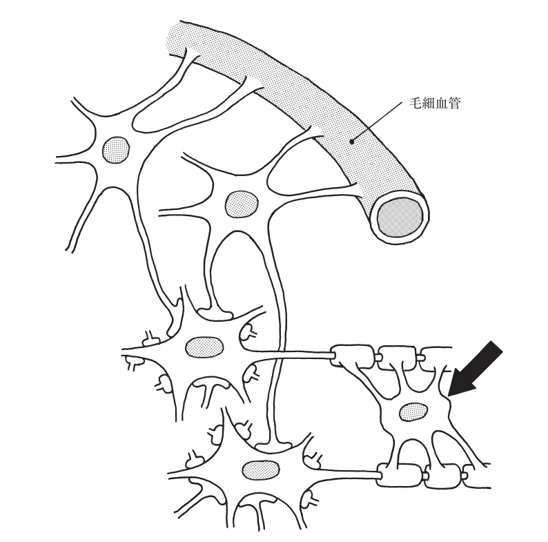 第54回午後第54問 図