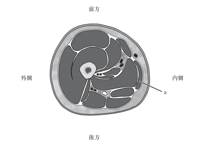 第60回午前第51問 図